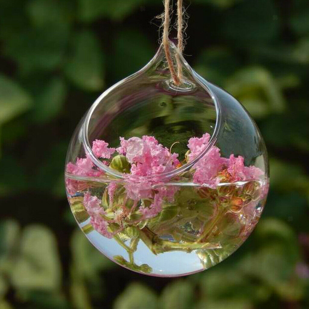 5 Pack Wall Hanging Vase Glass Flower Plant Terrarium Planters, Transparent