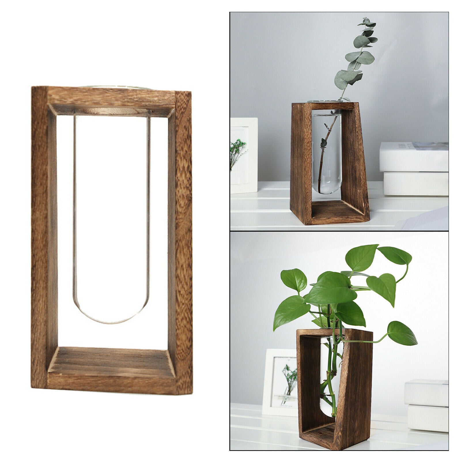 Hydroponic Plant Vase Holder Container Terrarium Flower Pot Stand Planter