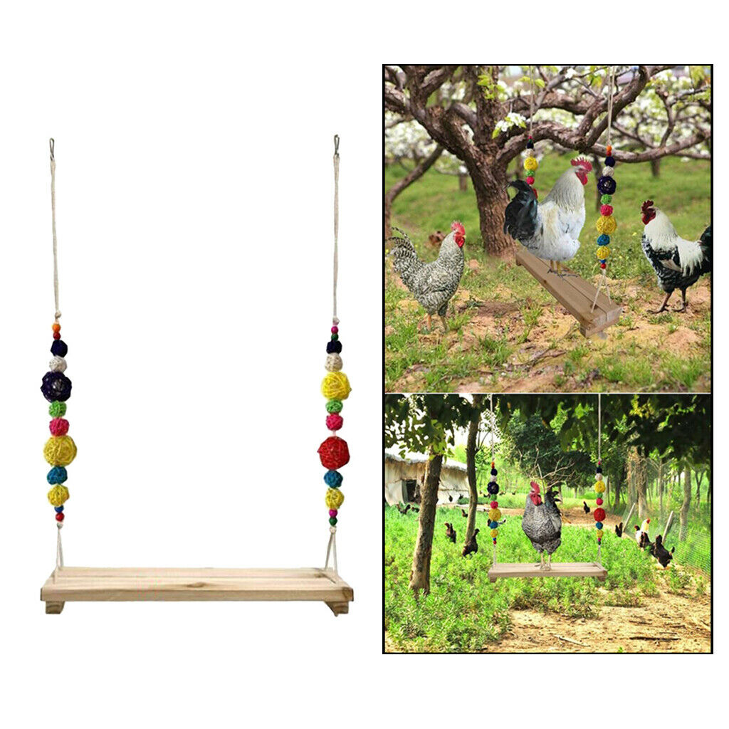 Chicken Swing Perch for Chicken Hens Large Birds Macaws Finches Parakeet