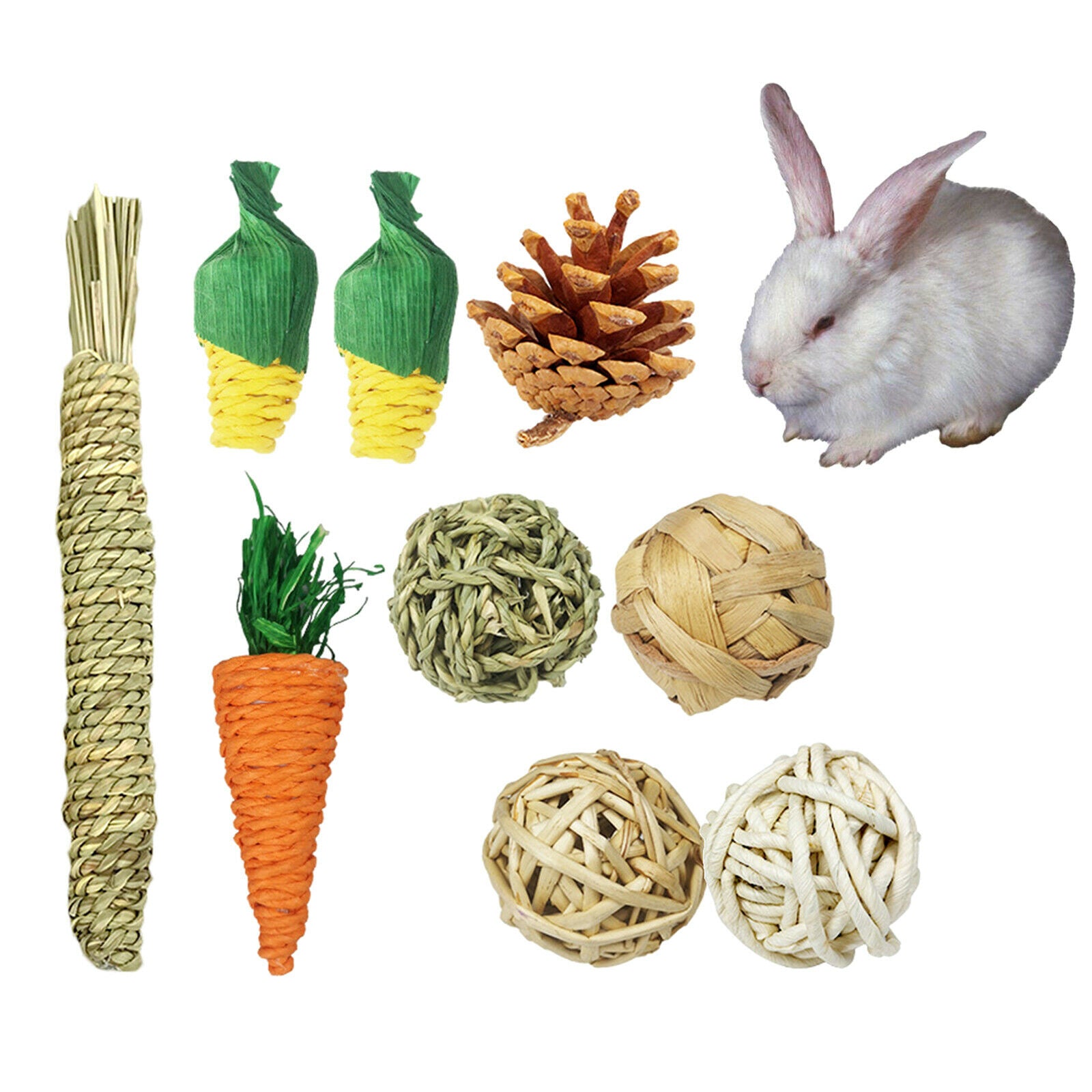 9 Pieces Hamster Chew Toys Guinea Pigs Toys Accessories Teeth Care Exercise
