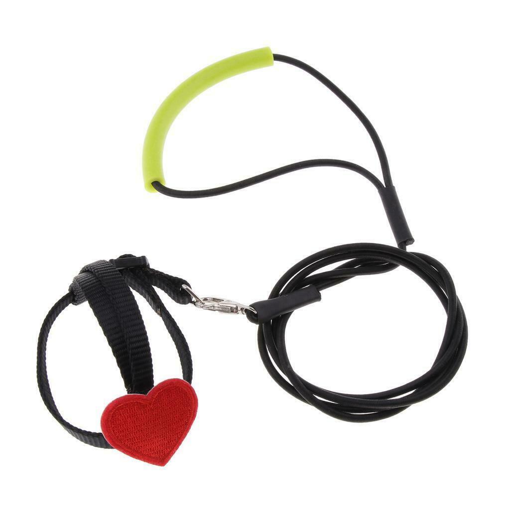 Soft Elastic Parrot Bird Leash Bird Harness Leash for Budgerigar Lovebird