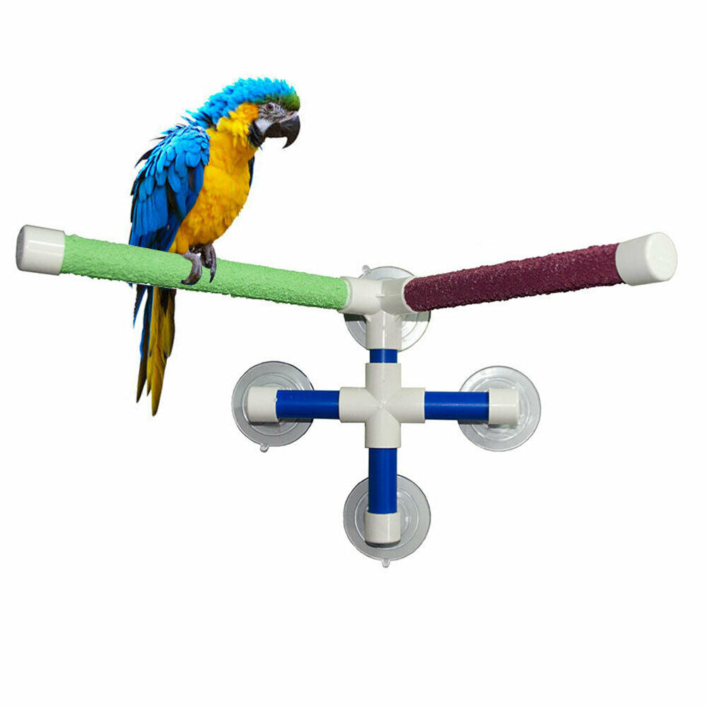 Double Stick Parrot Bath Stand Shower Standing Platform Bird Perch Rack Pe Hot
