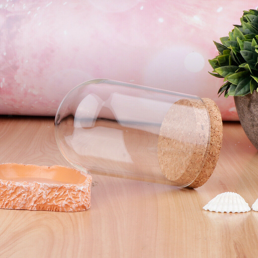 10Pcs Mini Glass Hemisphere Cover Dome Cabochon w/ Cork Table Decor Craft