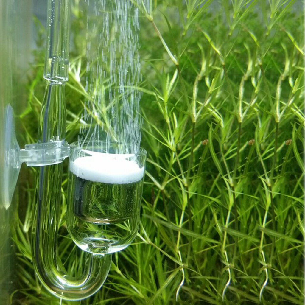 Aquarium Co2 Pressure Regulator System & CO2 Diffuser Carbon Dioxide Reactor