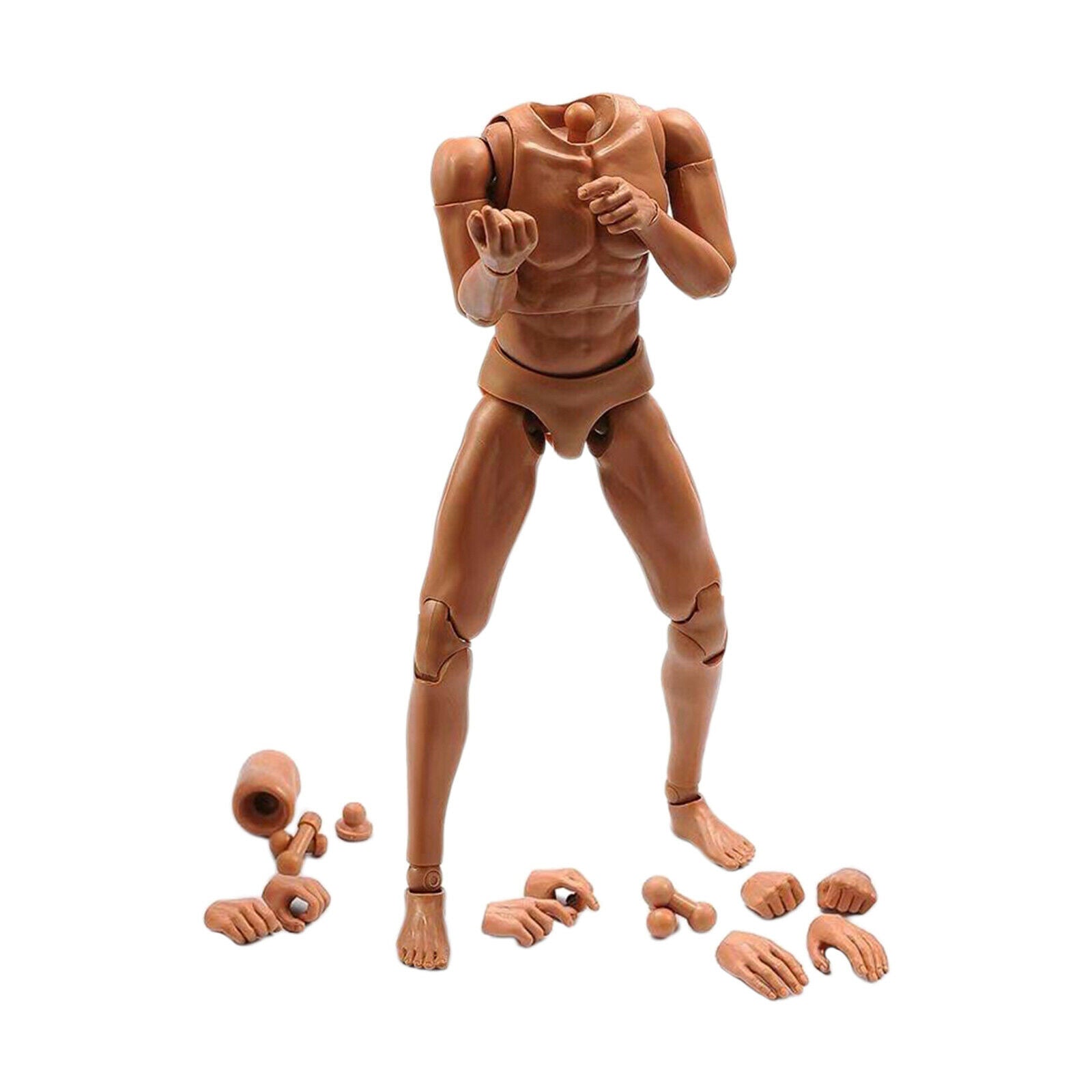 1/6 Male Narrow Shoulder Body Figures Male Muscle Body Toys for HT DAM