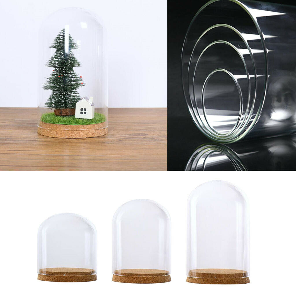 Glass Cloche Dome Cover Succulent Terrariums with Wood Cork Tabletop Decor S