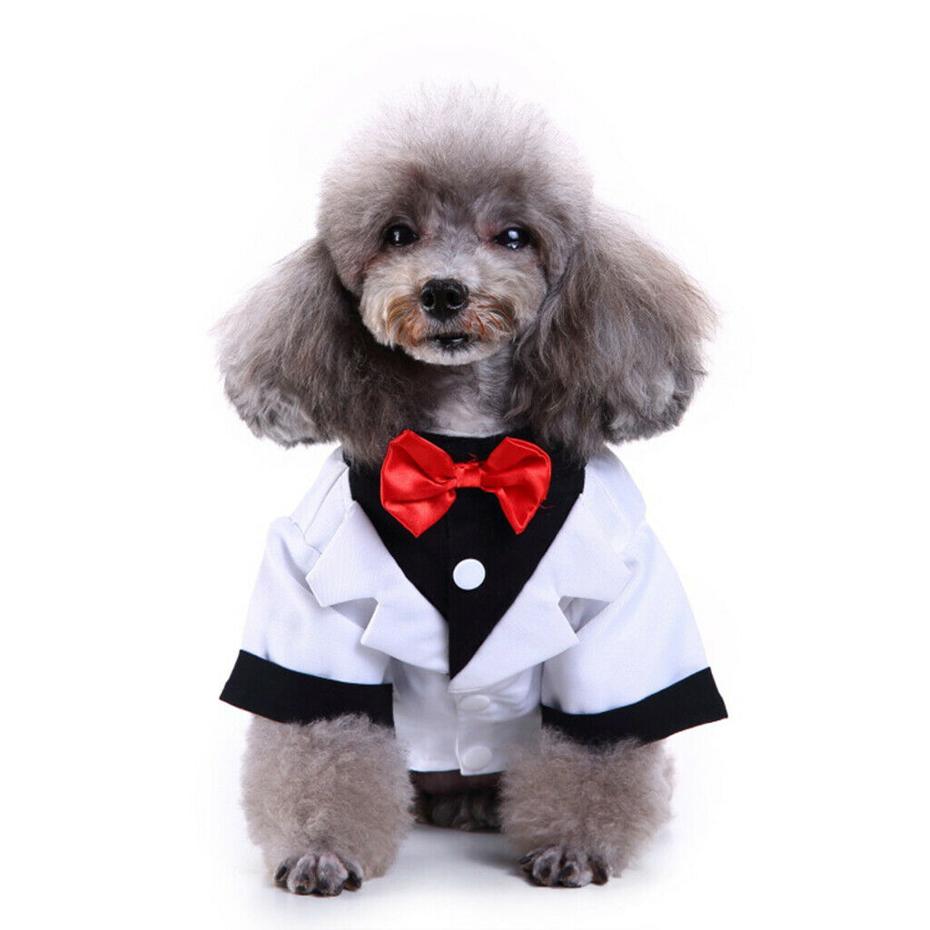 Pet Small Dog Clothes, Puppy Stylish Suit Bow Tie Costume, Wedding Shirt White S