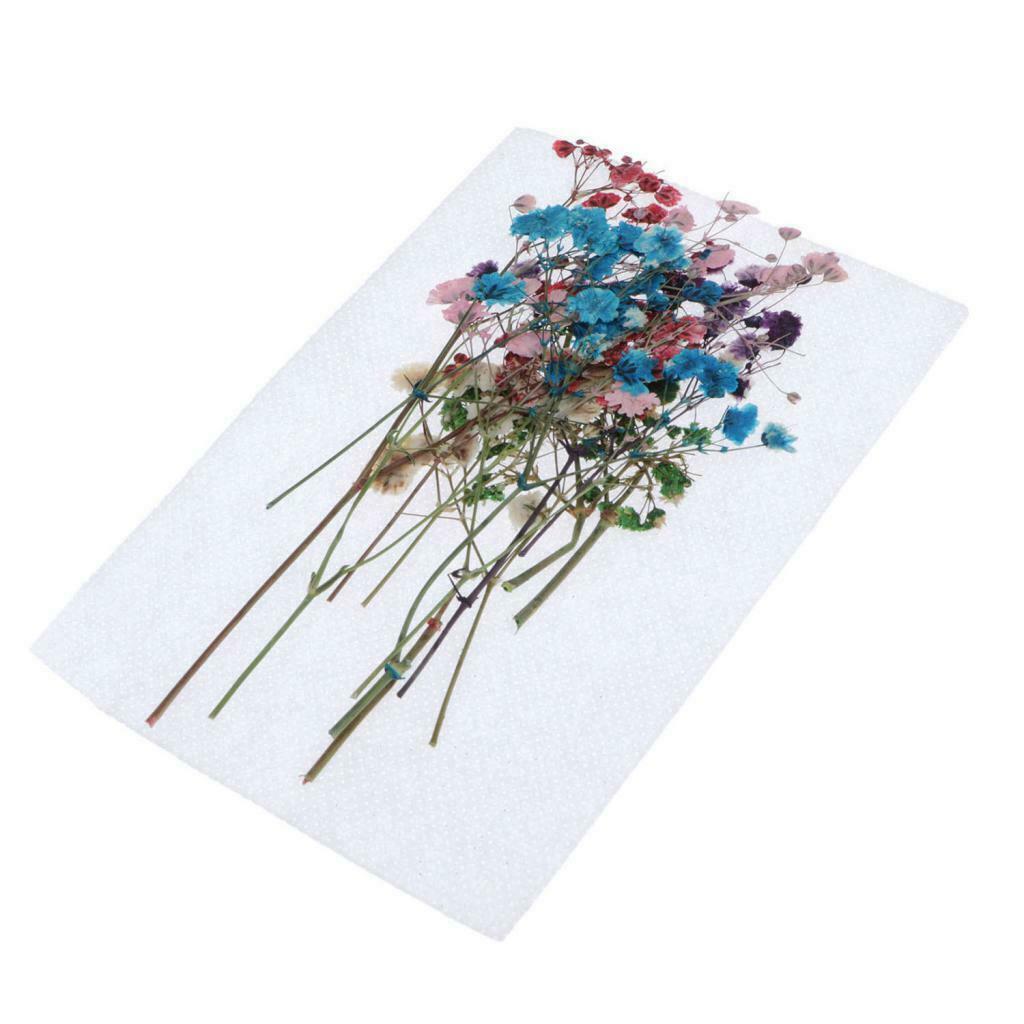 12Pcs Natural Dried Flowers Babysbreath DIY Pressed Herbarium Flower Decorative