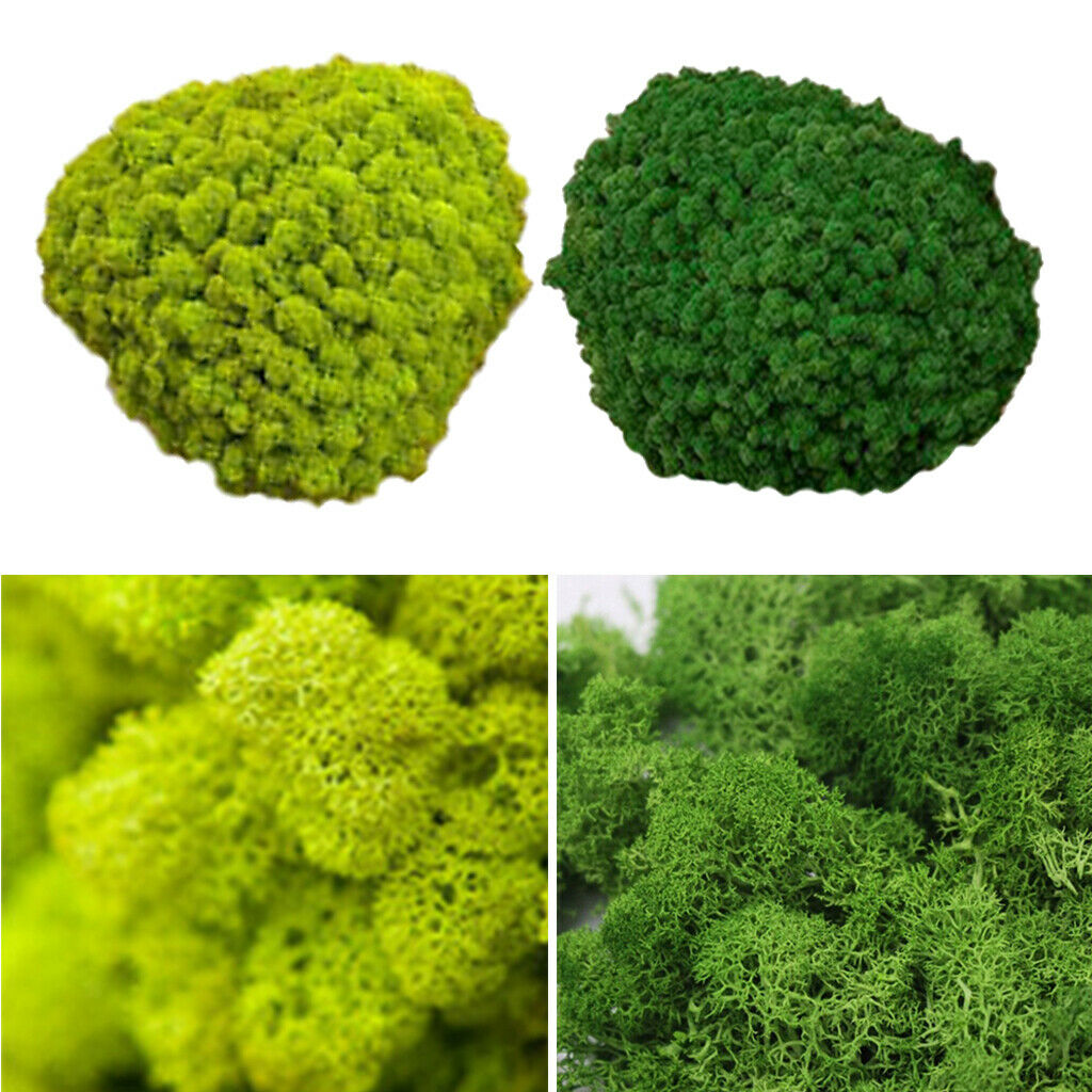 Set of 2 25g Wall Artificial Decorative Moss Ornaments for Bedroom Decor