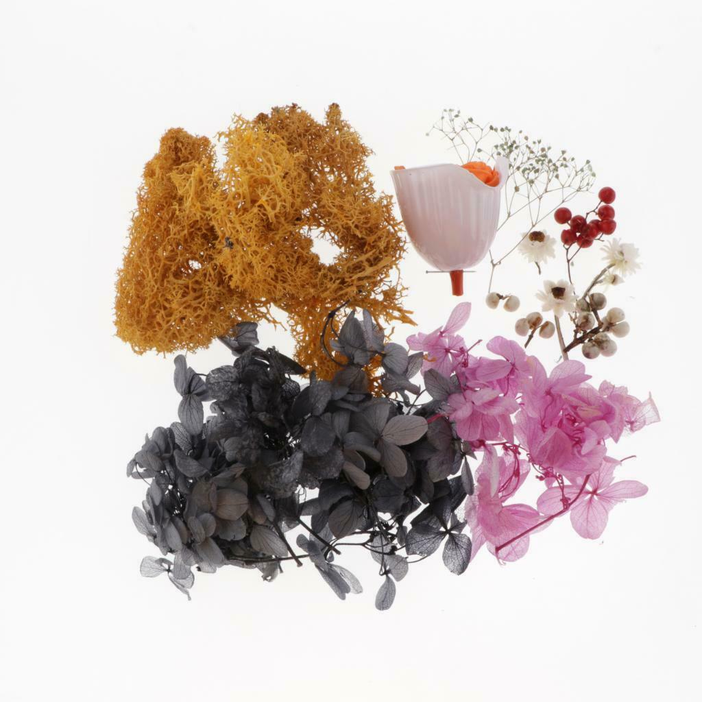 DIY Dried Flower Pendant with Hoop Kits for Car Home Wall Decor Craft Orange