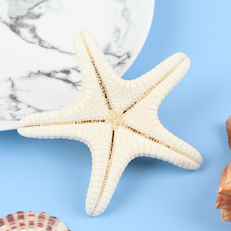 Starfish Crafts Decor Starfish DIY Shell Sea Fish Party Beige Starfish Decor Fx