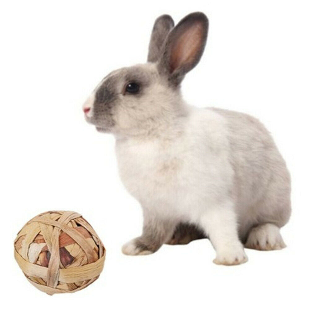 4pcs Hamster Rabbit Chewing Grass Ball Small Pet Teeth Clean Molar Ball Set