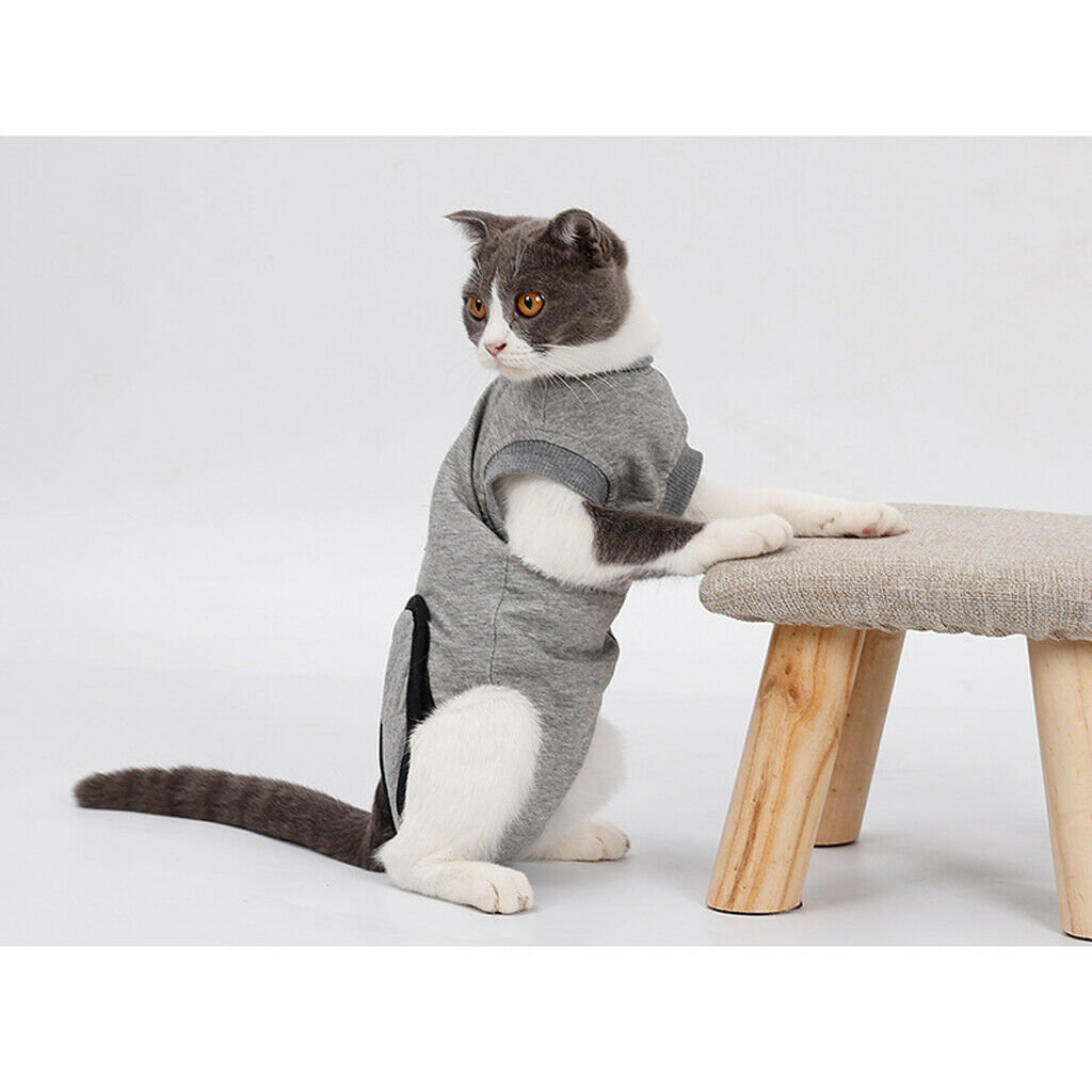 Cat Professional Recovery Suit for Abdominal Wounds or Skin Diseases, E-Collar