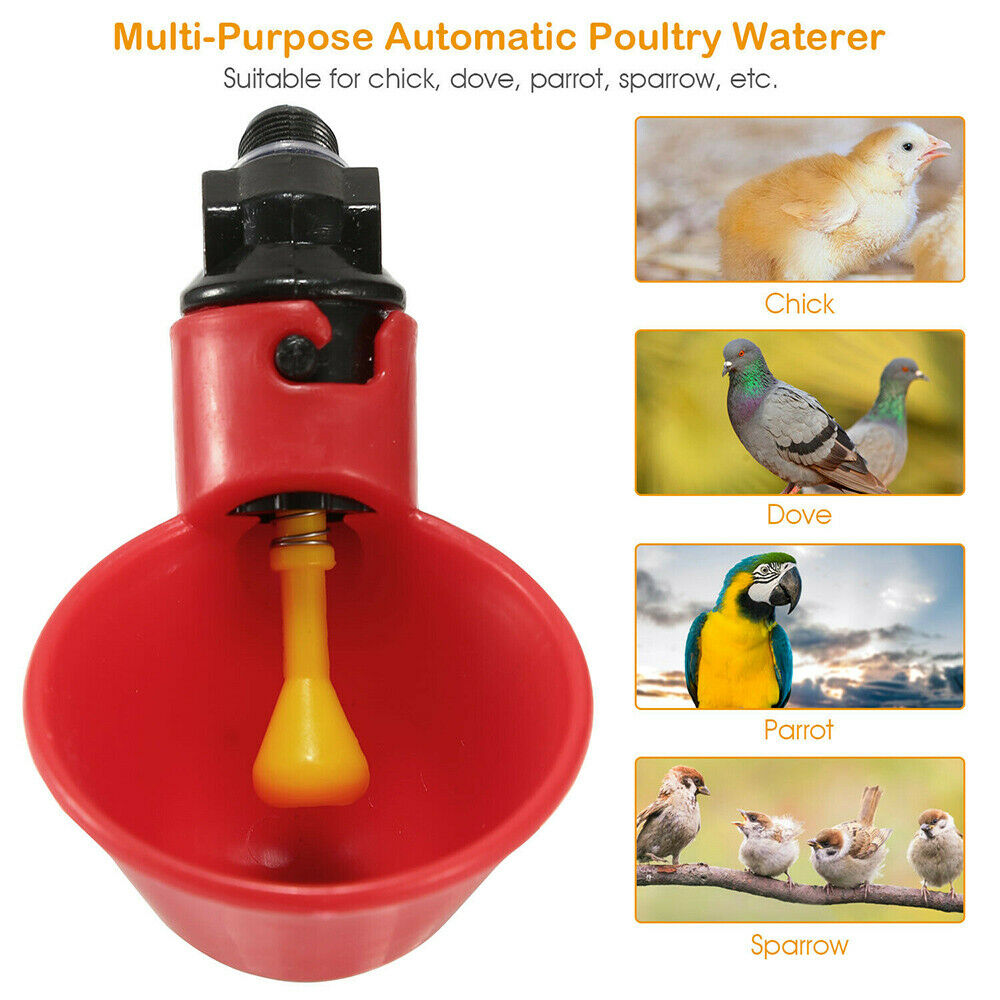 5PCS Poultry Drinking Watering Cups for Chicken/Quail Water Cups Drinker