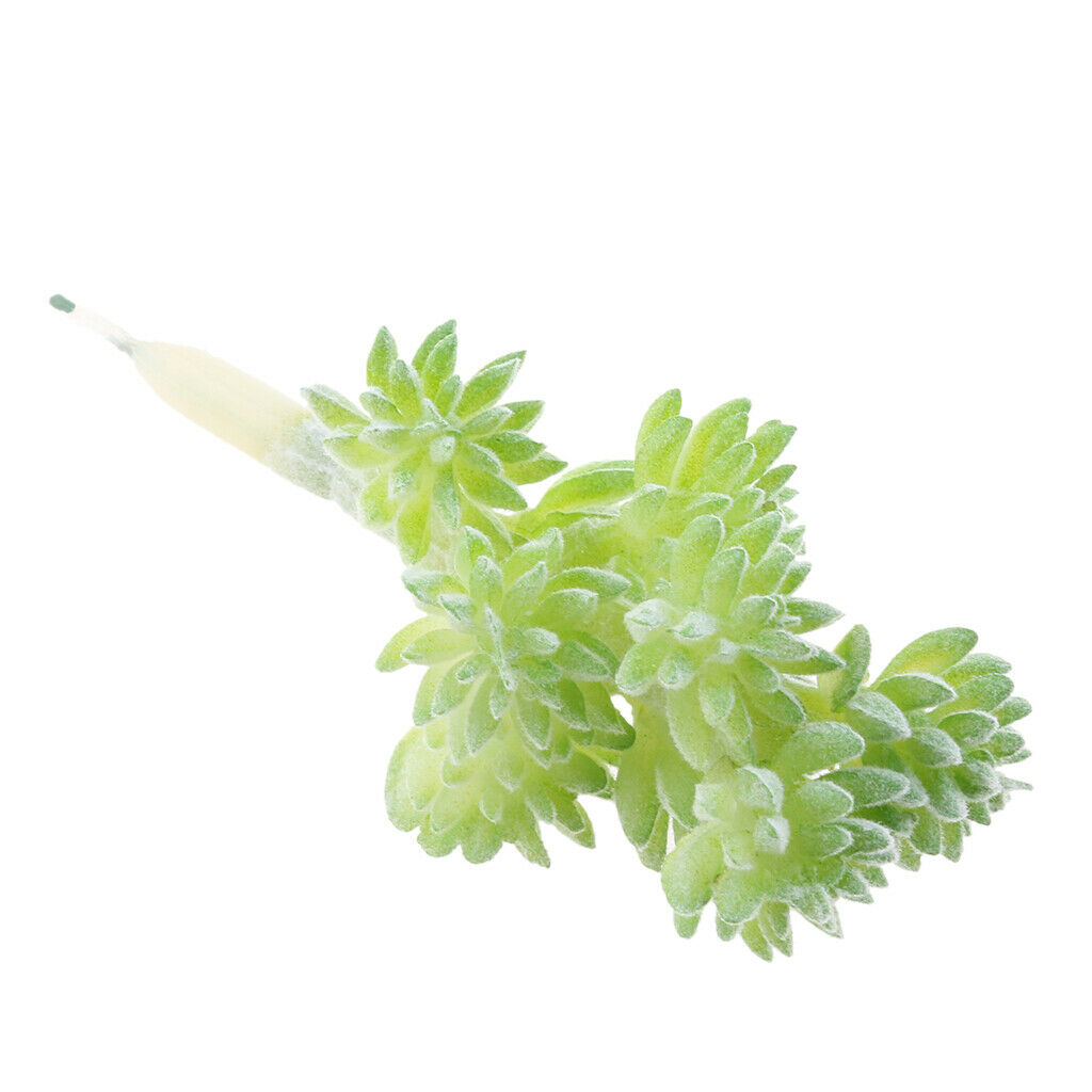 3 Pieces Succulent Plants Simulation Home Garden Decoration DIY