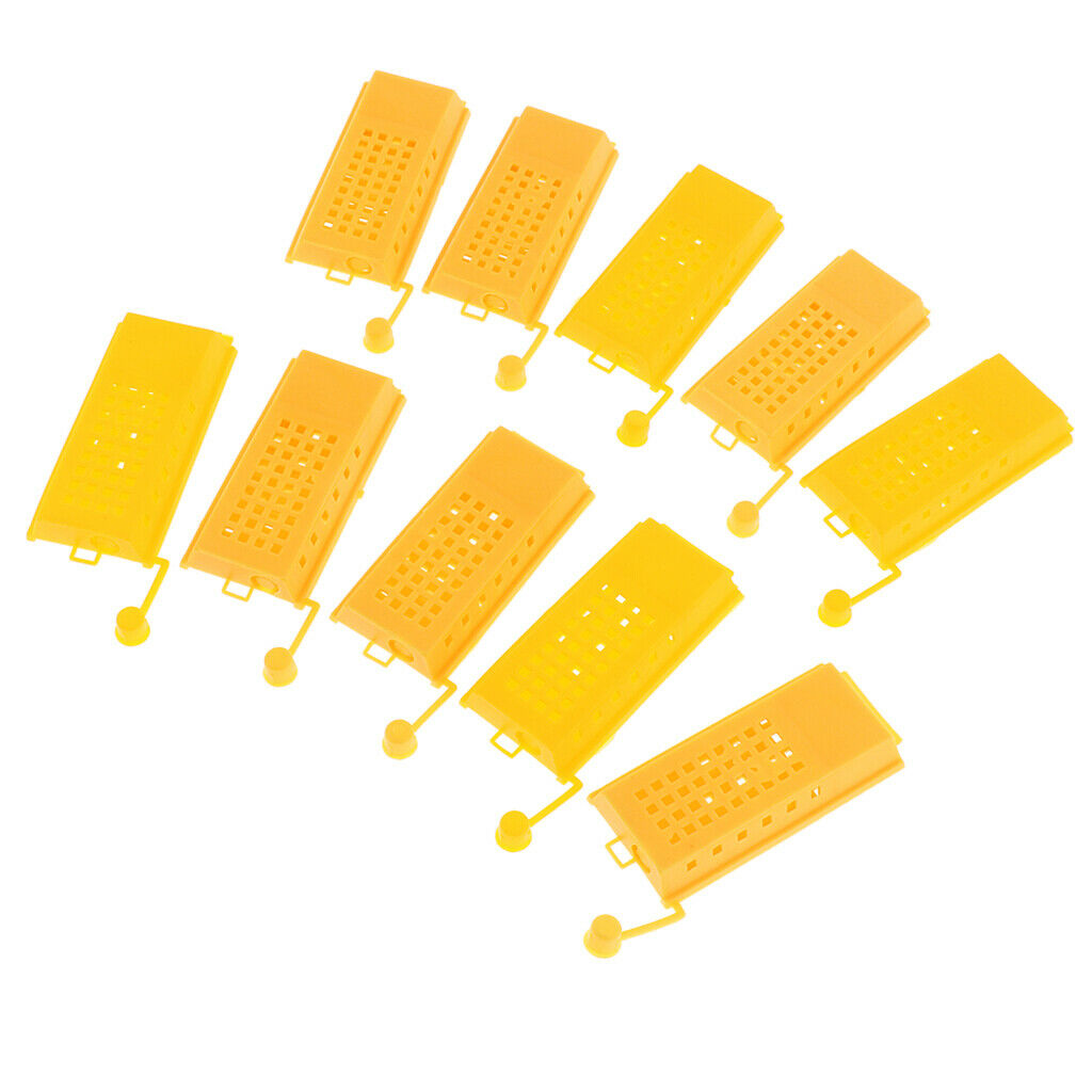 10 Pieces Beekeeping Tools Bee Cage To Catch With Bees Wild