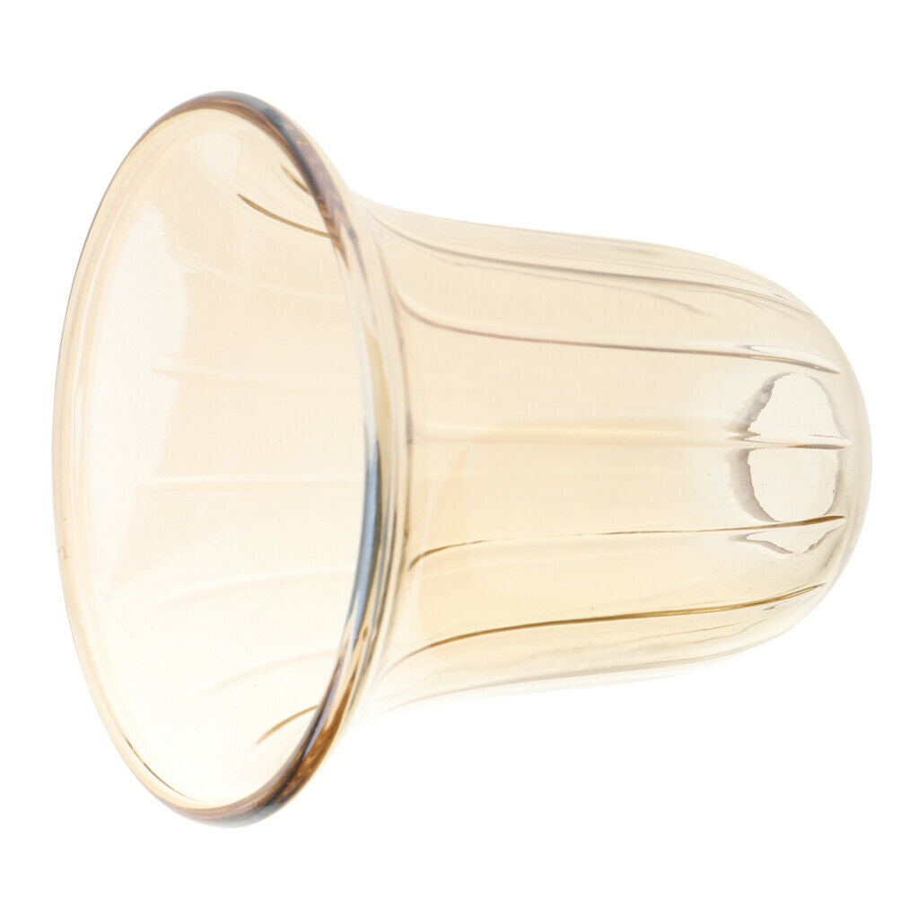 E14 Replacement Ceiling Chandelier Frosted and Clear Glass Lamp Shade Type 5