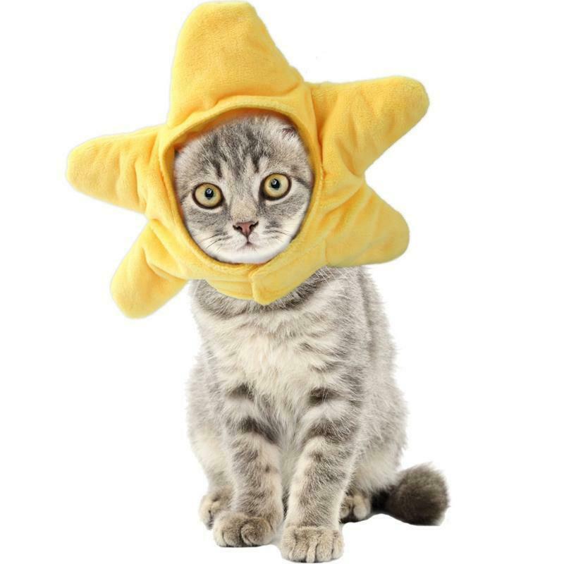 Cute Cat Hat Small Dog Yellow Starfish Headwear Pet Holiday Accessories