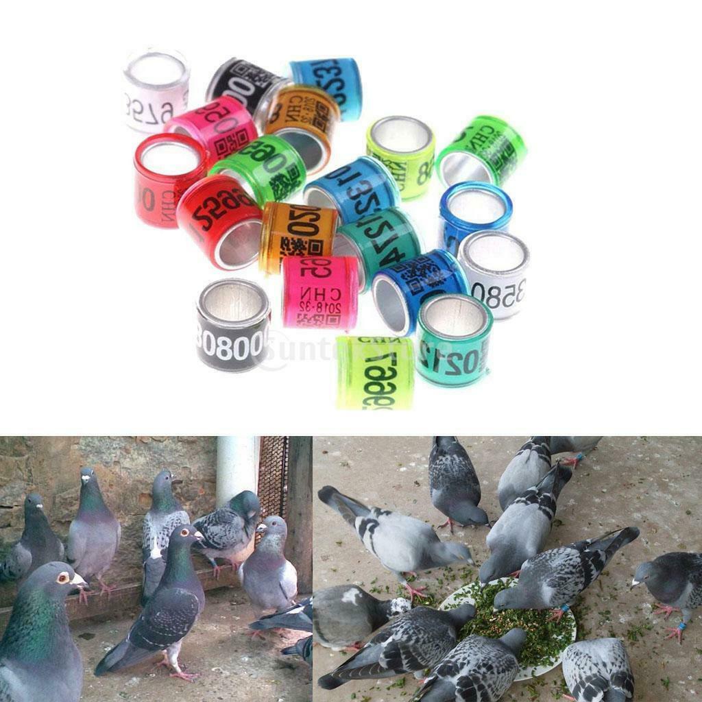 100Pcs Aluminium Dove Racing Pigeon Foot Rings 8mm for Poultry Multicolor