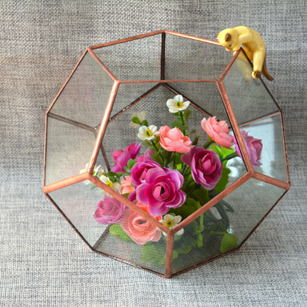 2x Glass Brass Terrarium Box Tabletop Succulent Plant Planter Flower Pot