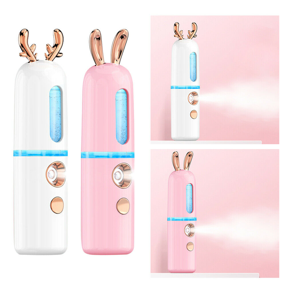 2 Packs USB Facial Nano Spray Hydrating Spraying Machine Moisturizing Tool