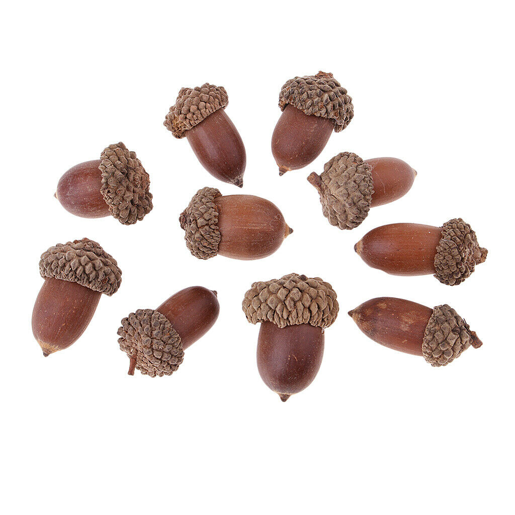 40Pcs Mixed Dried Pine Cone Acorn Artificial Art Home Room Decoration Props