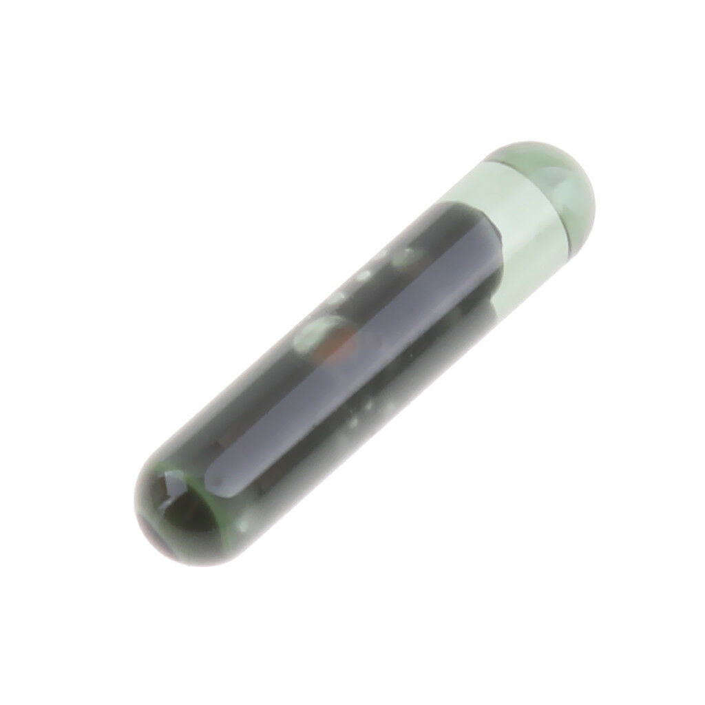 Car Immobilizer Key T6 ID48 Chip for Audi A3 A2 A4 A6 A8 TT Skoda Fabia