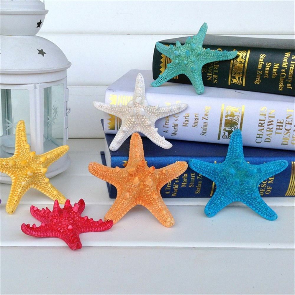 5 pcs Small Colorful Natural Starfish Crafts Decor For Micro Landscape Wedding