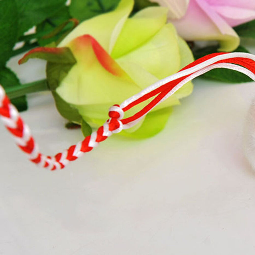 Adjustable Leash Collar Guinea Pig Small Pets Lead Pet Hamster Traction R.l8