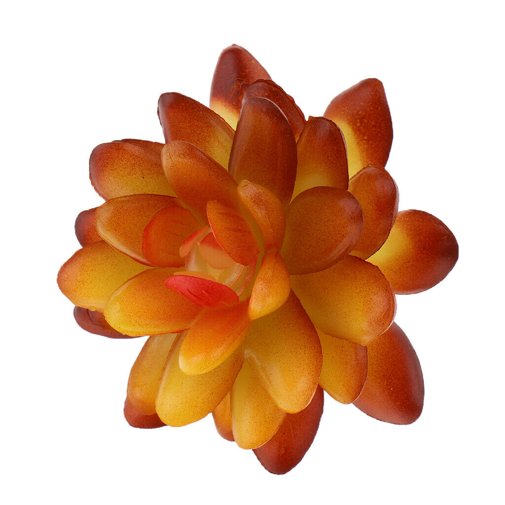 Artificial Plastic  Simulation Succulents Plants Flowers Vivid Echeveria Flower