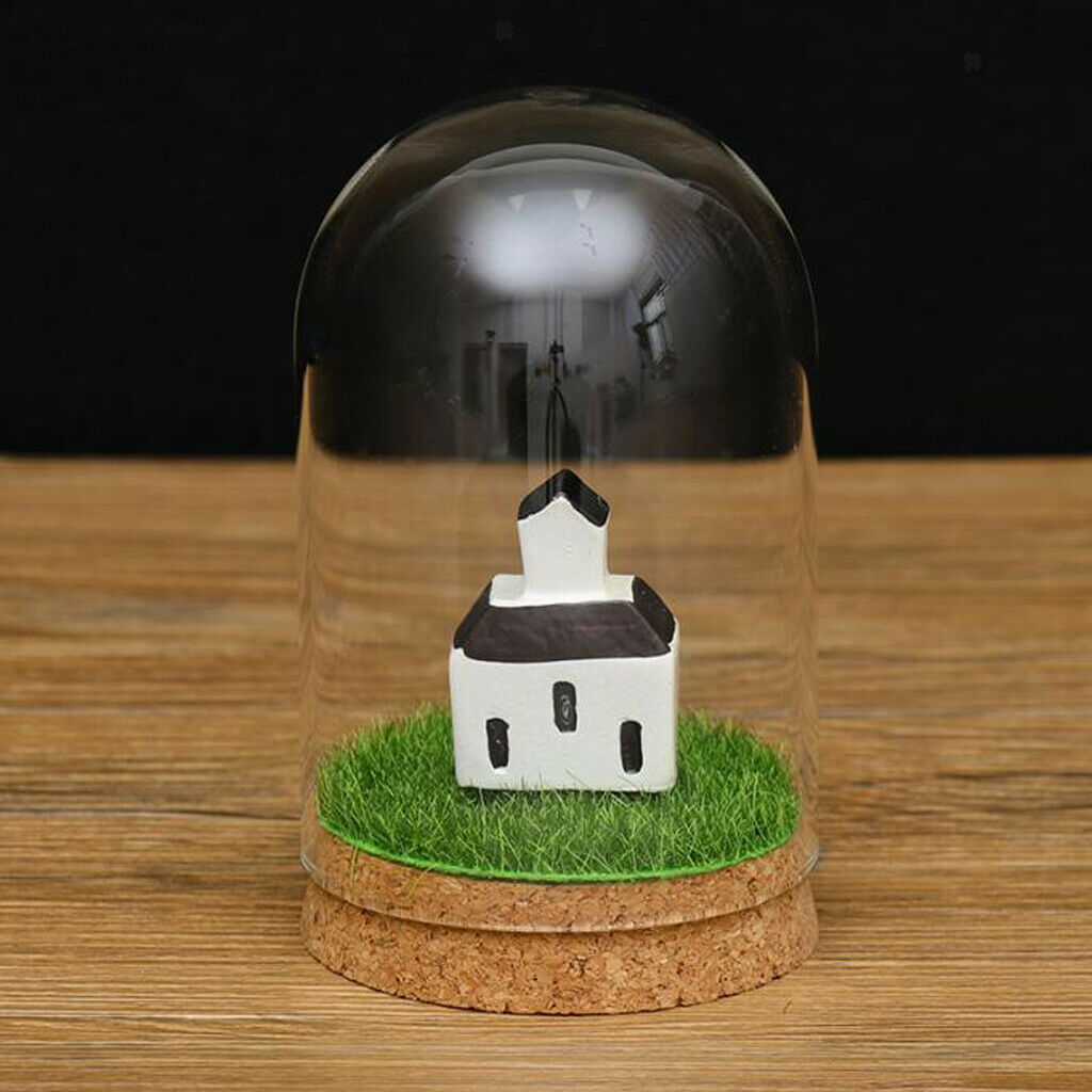 2Pieces 8x12 & 6.5x10cm Glass Dome Cover Cloche Bell Jar Terrariums with Wood