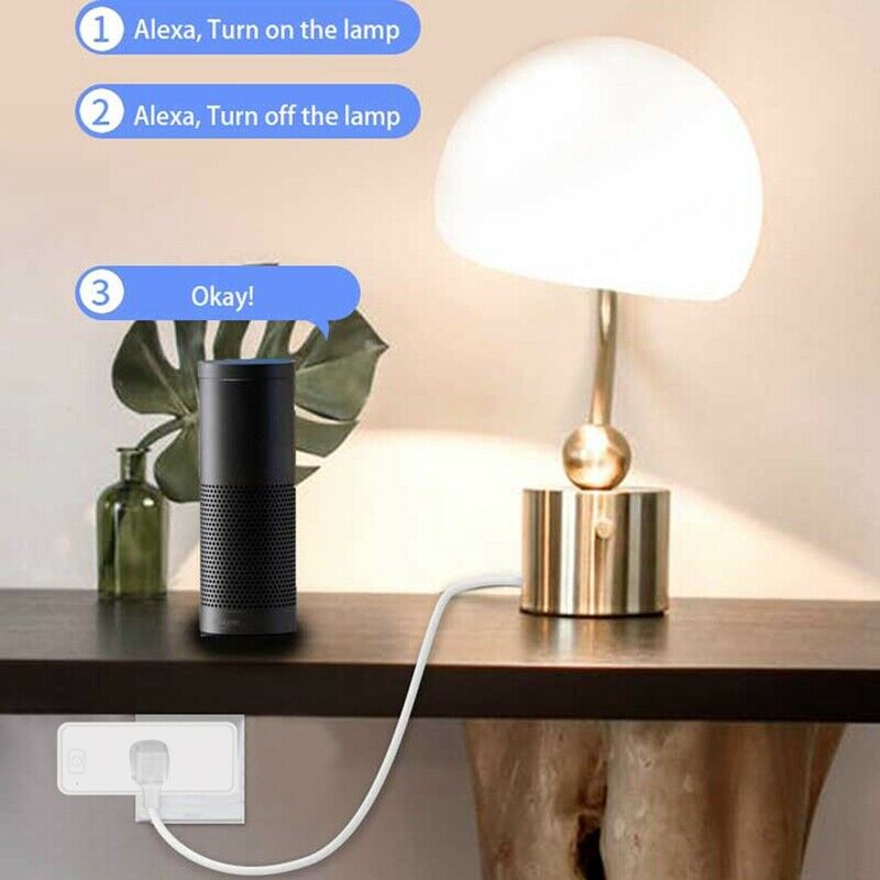 Smart WiFi Socket with Dual USB Remote Control App Control Voice Control TimerX1