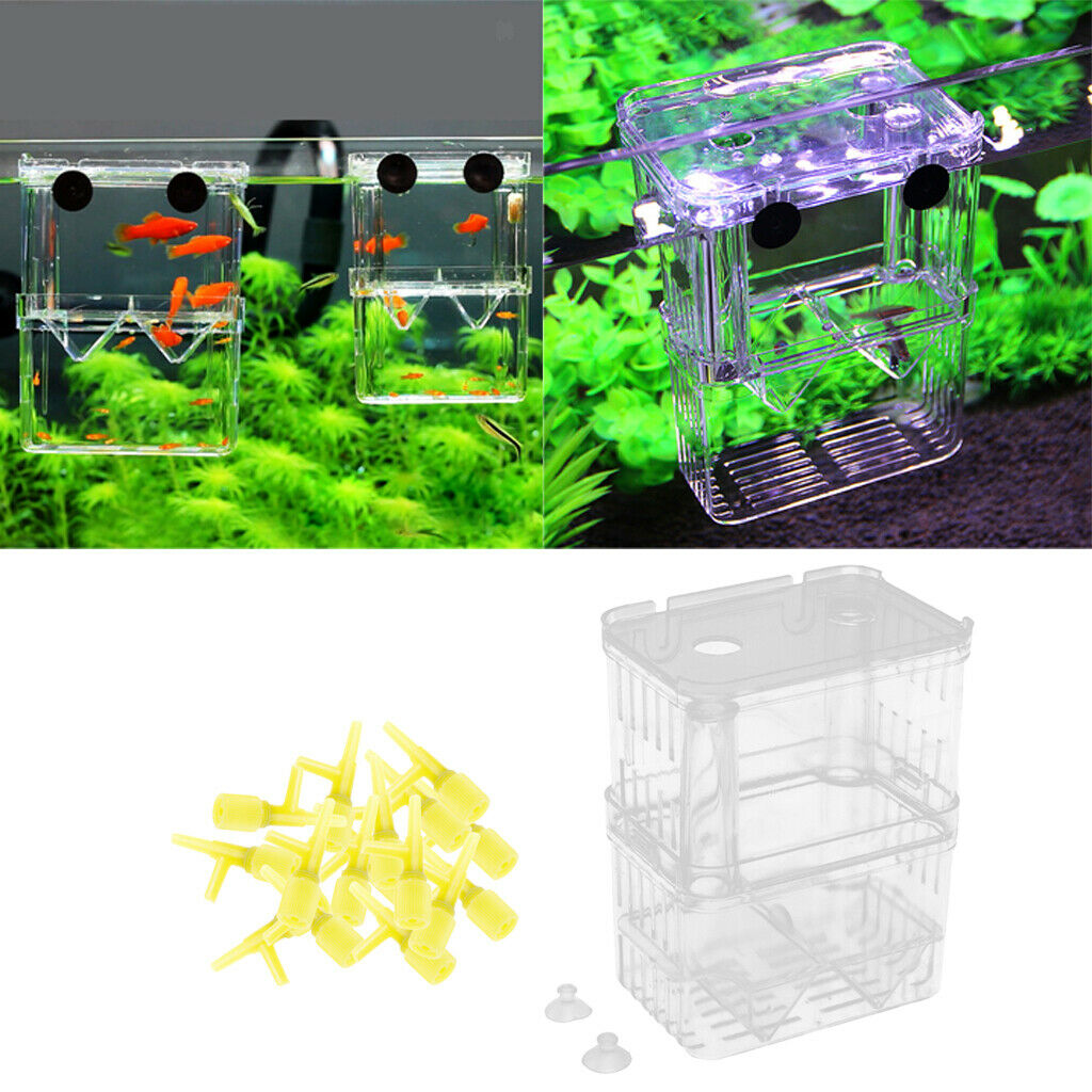100Pcs Valves and A Clear Fish Hatchery Box Floating Aquarium Incubator with 2