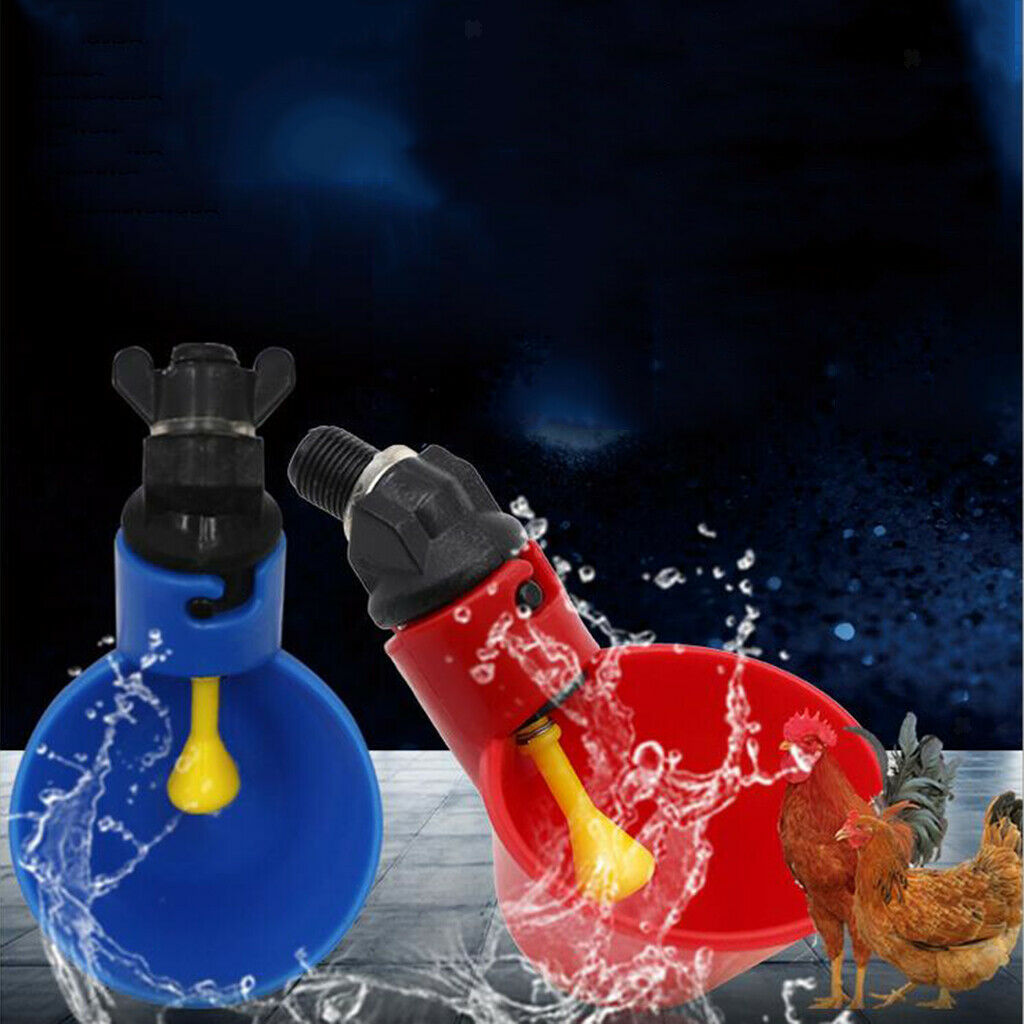 Chicken Drinking Cup Quail Pigeon Watering