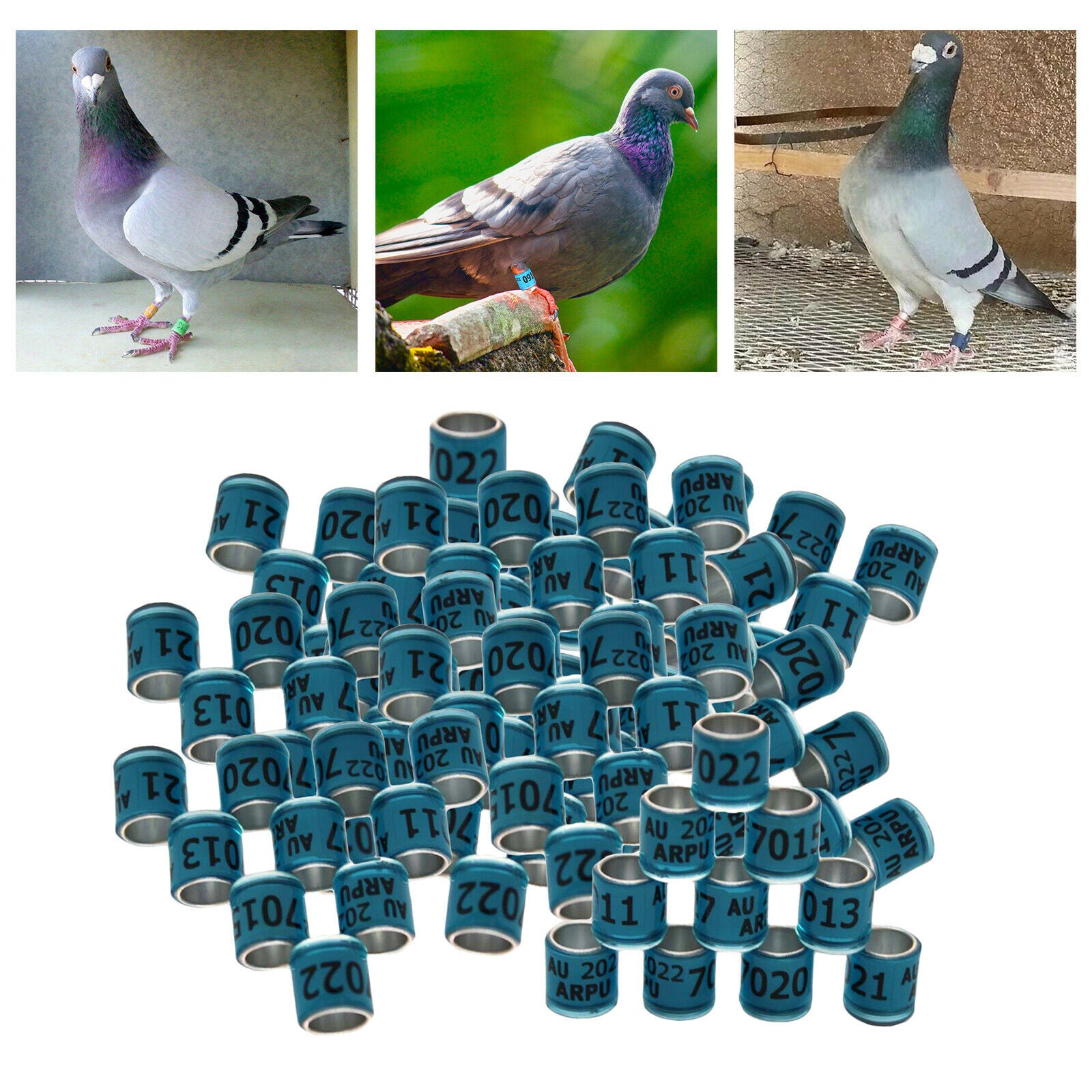 100Pcs 2022 Aluminium Dove Racing Pigeon Foot Rings Bands 8mm Blue