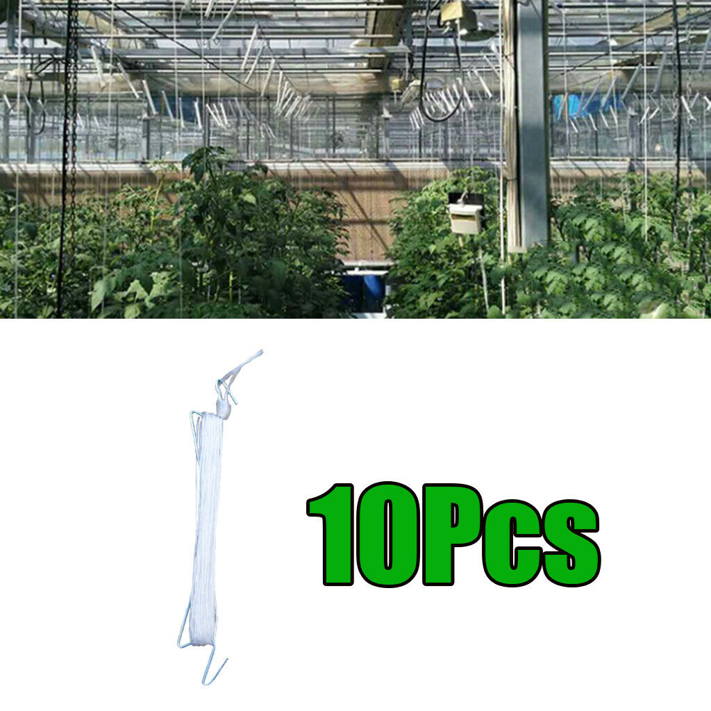 Set Of 10 Support Brackets For Planting