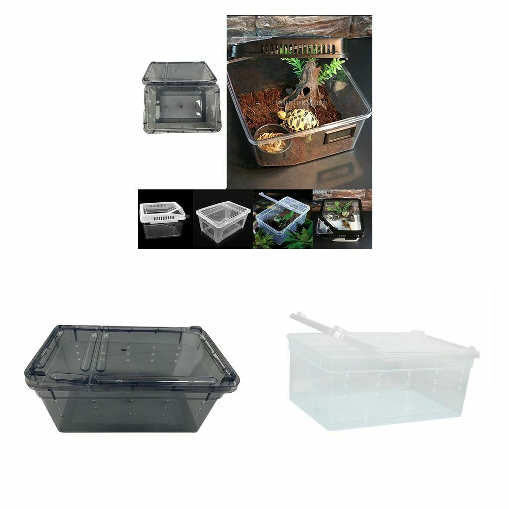 2Pieces Reptile Water Feeding Box Turtle Hatching Box Lizards Tortoise Frogs