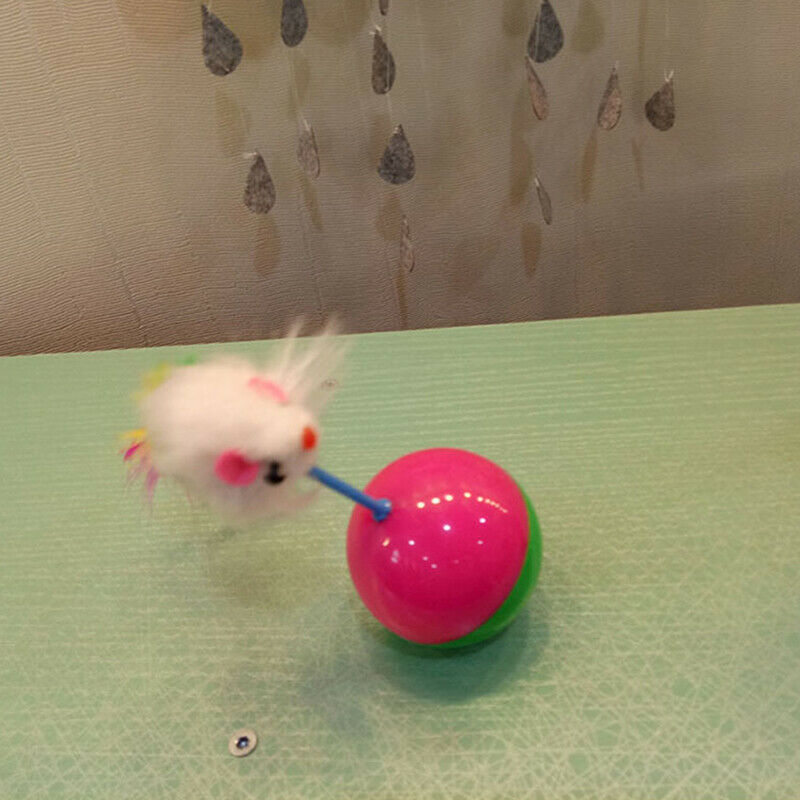 Pet Cat Toys Mimi Favorite Mouse Tumbler Kitten Cat Toys Plastic Play Bal.l8