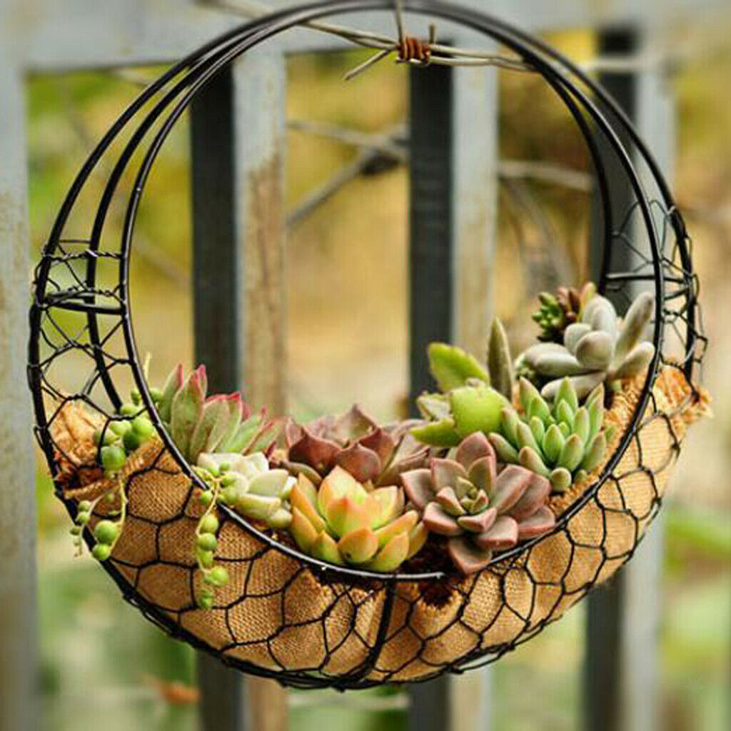 Iron Wire Wreath Frame Succulent Pot Metal Planter Plant Holder Decoration C