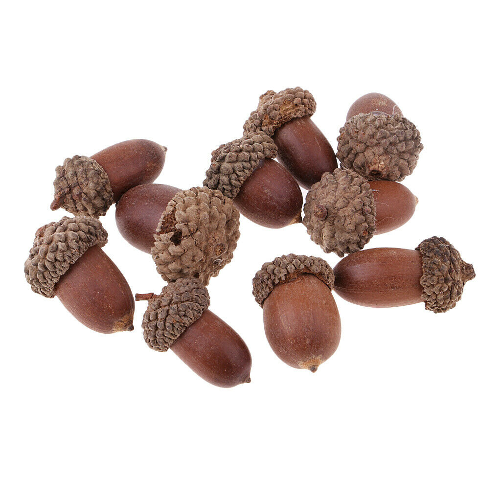 10x Rustic Acorn Premium Rubber Chestnut Home Wreath Garland Embellishments
