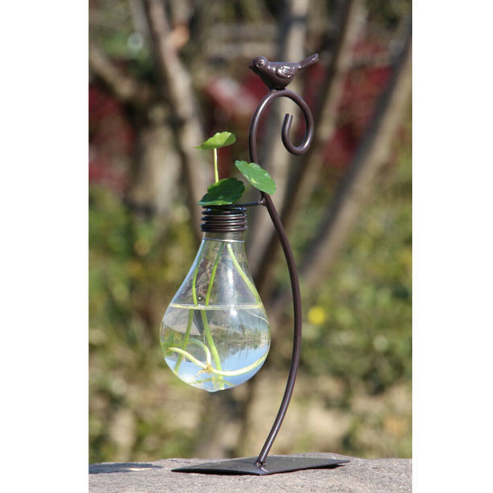 Glass Planter Shelf Bookcase Bulb Vase Stable Bird Terrarium Home Decor