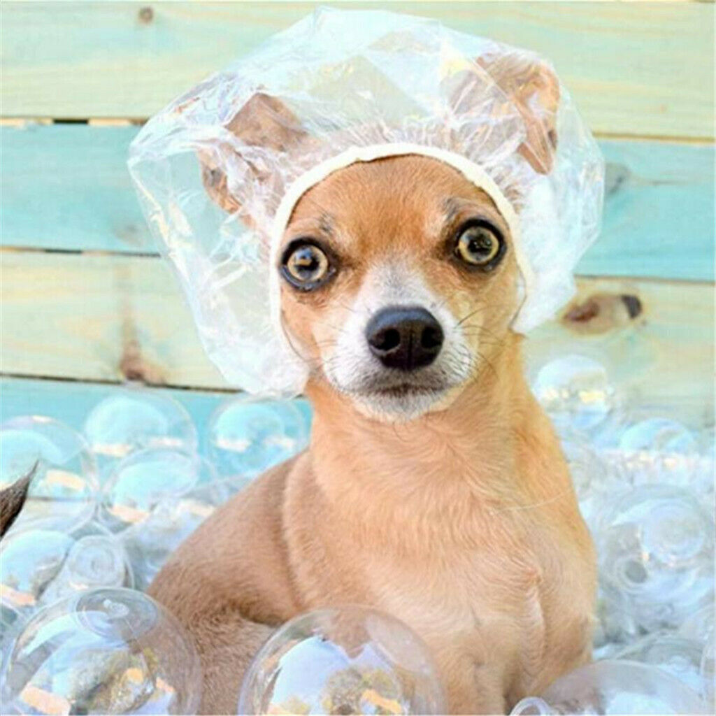 100Pc Disposable Plastic Clear Shower Bathing Caps Elastic Waterproof Hair Cover