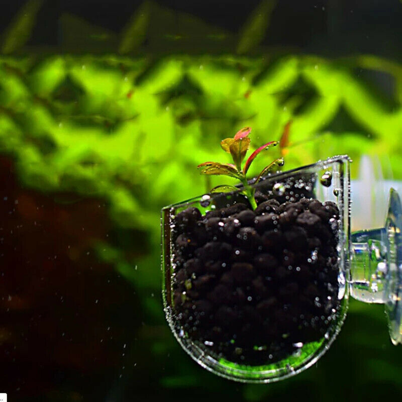 Aquarium Decor Hanging Fish Tank Mini Glass Pot Water Potted Planting C.l8