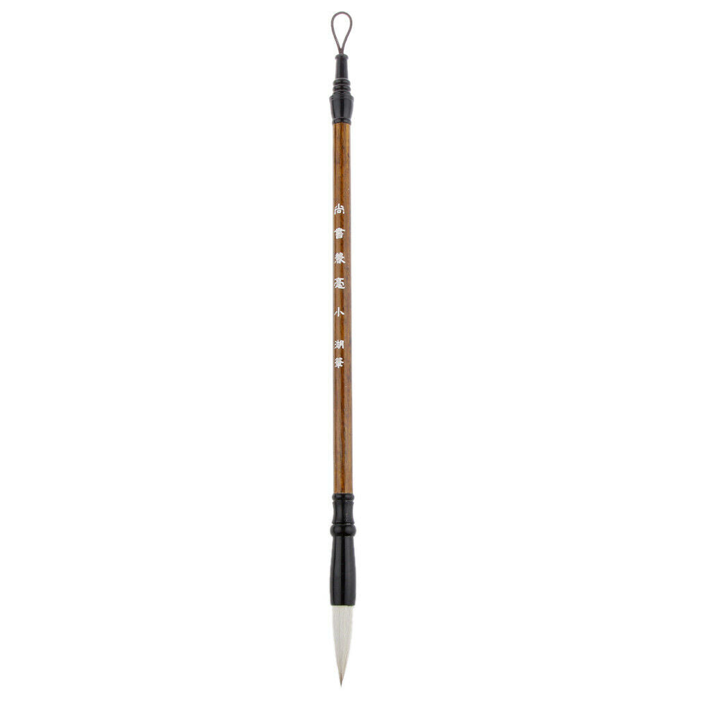 2 Pieces of Traditional Chinese Brush Pen for Calligraphy Writing Tool