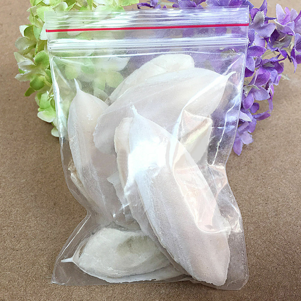 1 Pack Fish Cuttlefish Cuttle Bone Parrotts Birds Reptiles Rabbits Tortoise Food