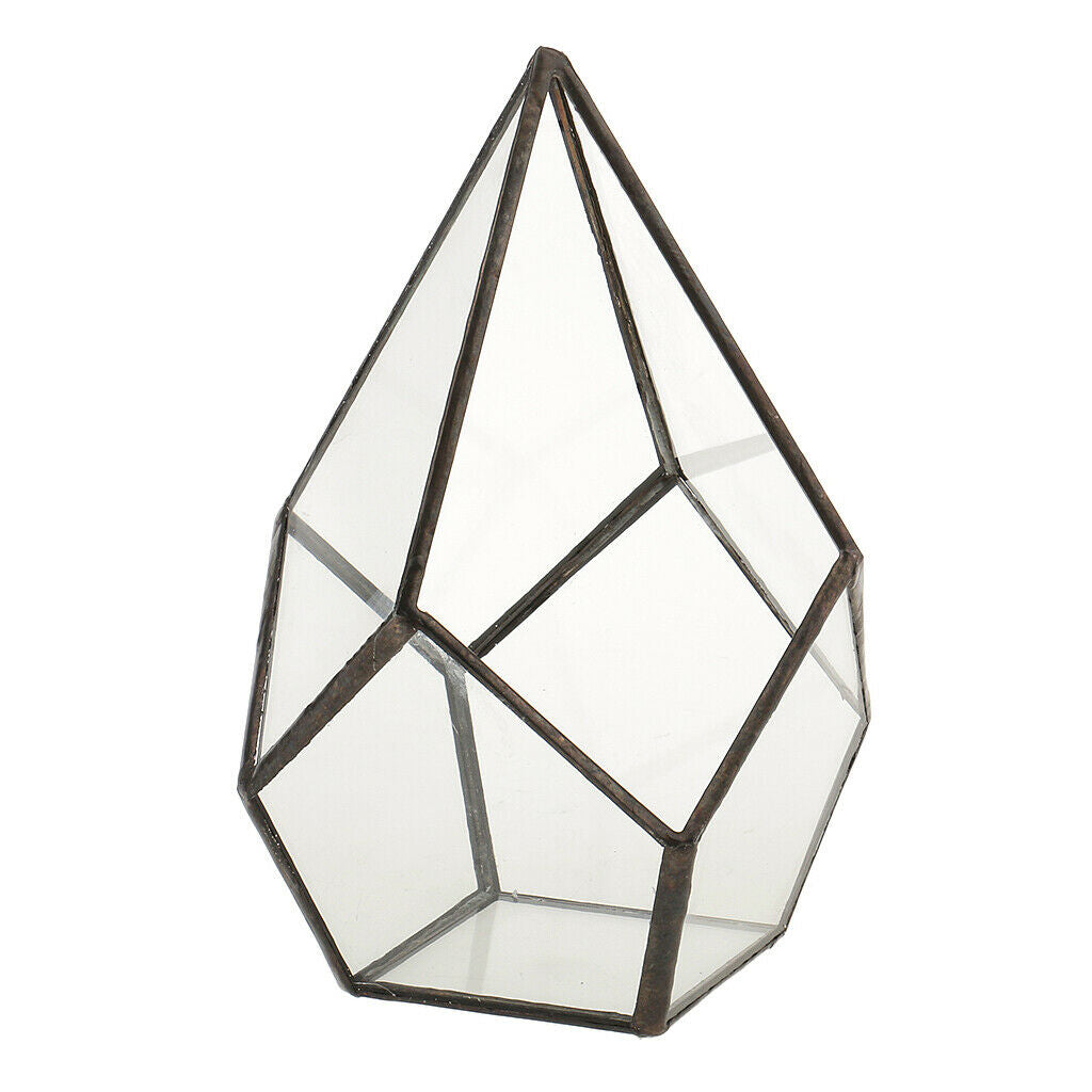Clear Glass Terrarium Box Open Fern Moss Succulent Planter Case Flower Pot