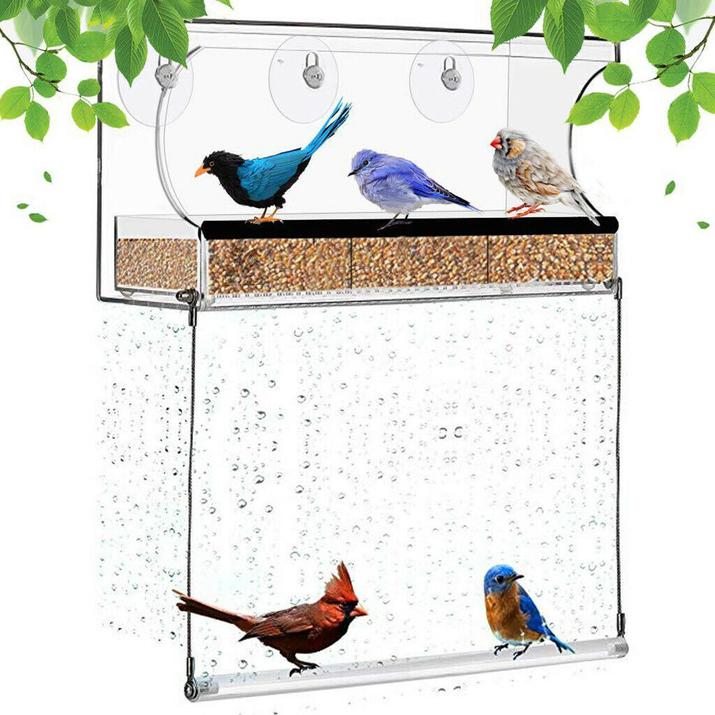 Window Bird Feeder Birdfeeder Birdhouse for Pet Bluebird Garden Outside