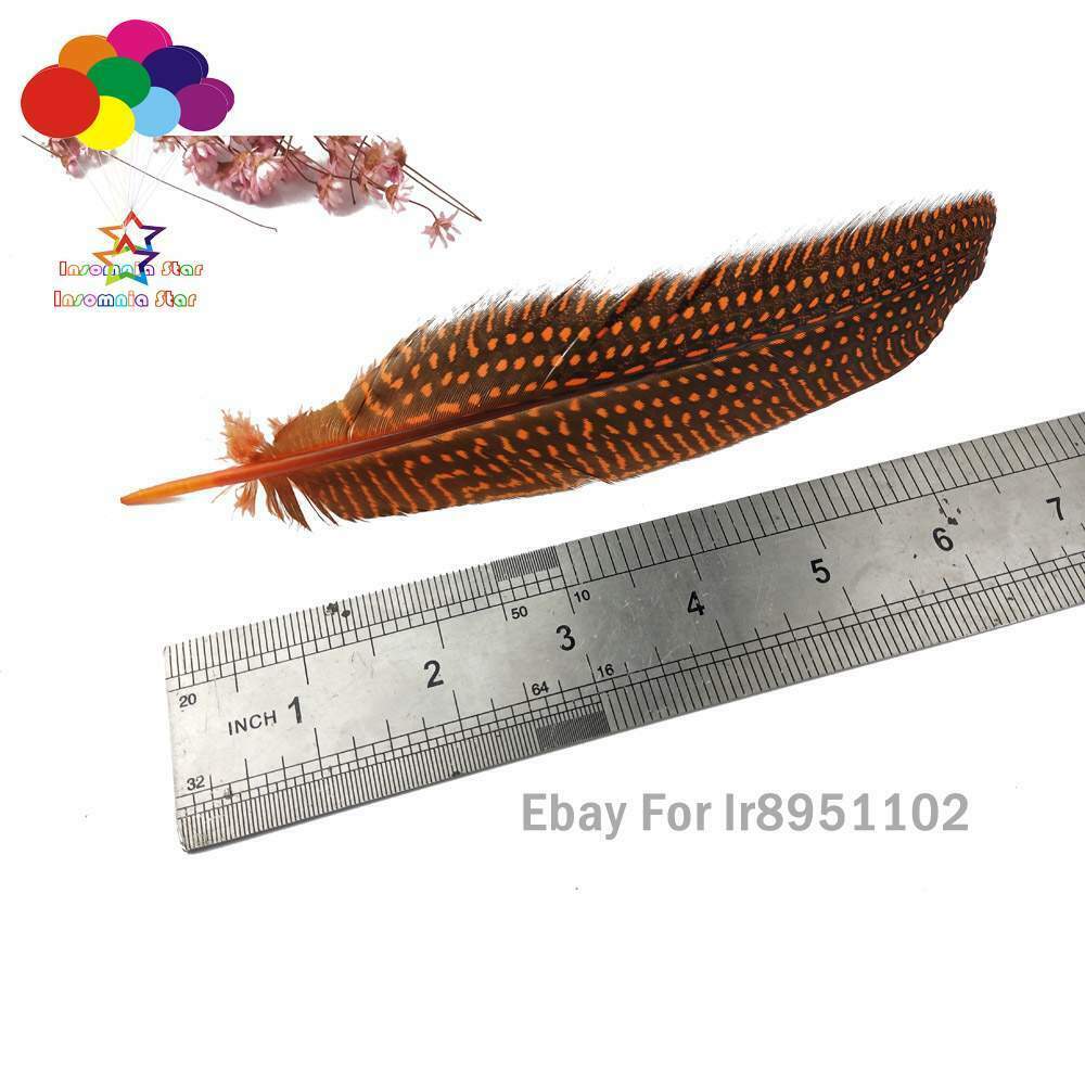 Dyed Orange Turkey 15~20cm Length 100pcs Polka Dot Guinea Fowl Quill Feathers