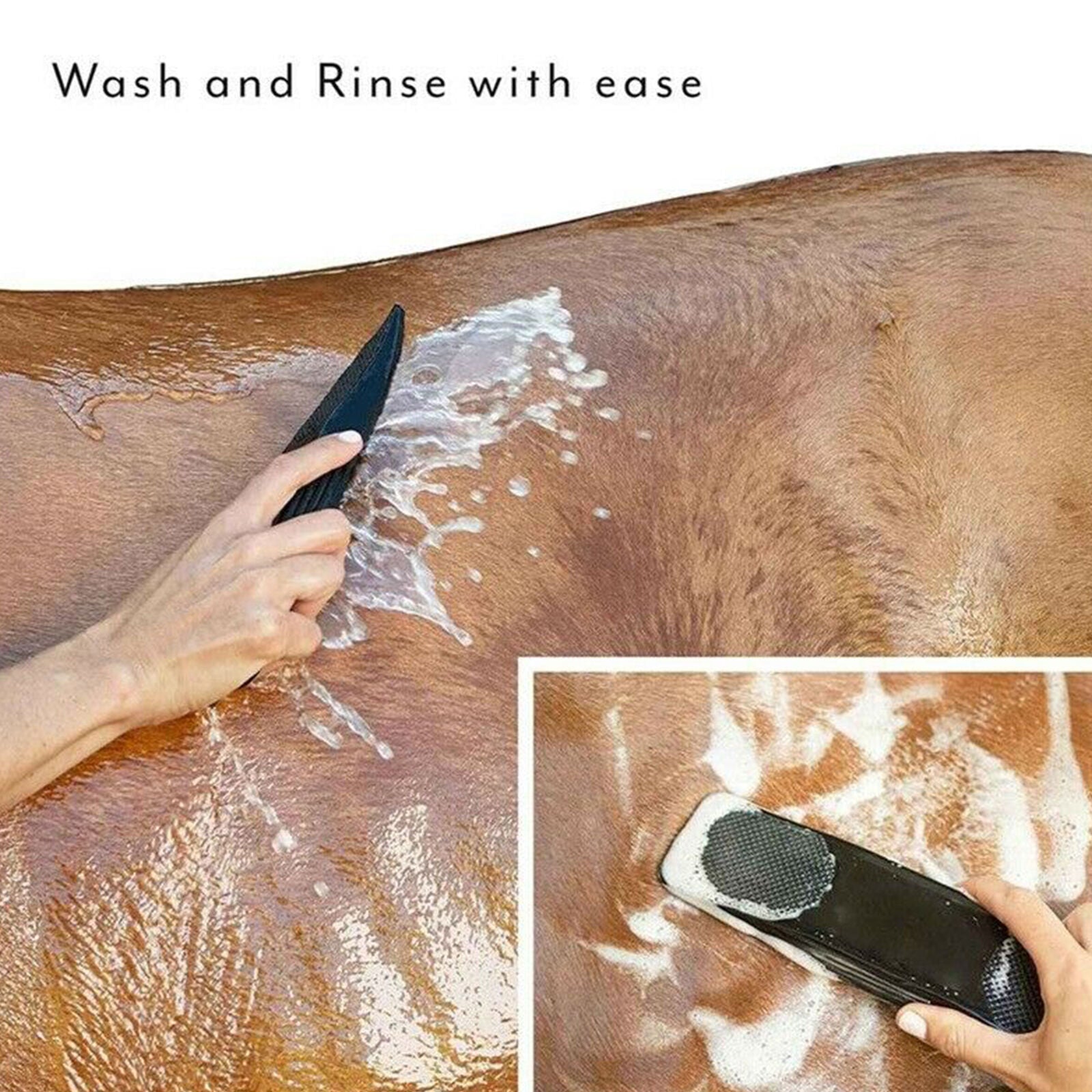 Shedding Grooming Massage Brush Horse Hairs Combs Pet Horse Grooming