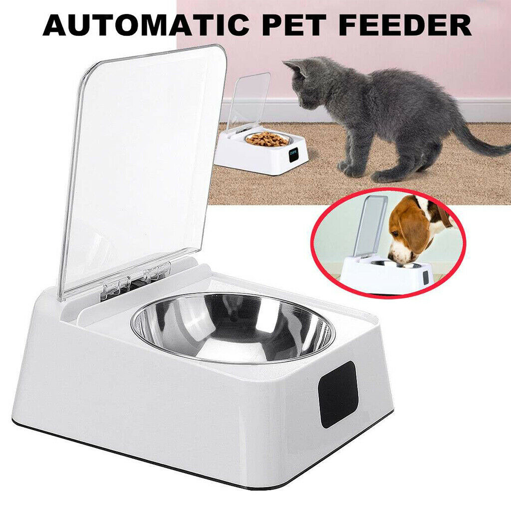 Dog Cat Automatic Smart Infrared Sensor Food Dispenser Bowl Pet Feeder White